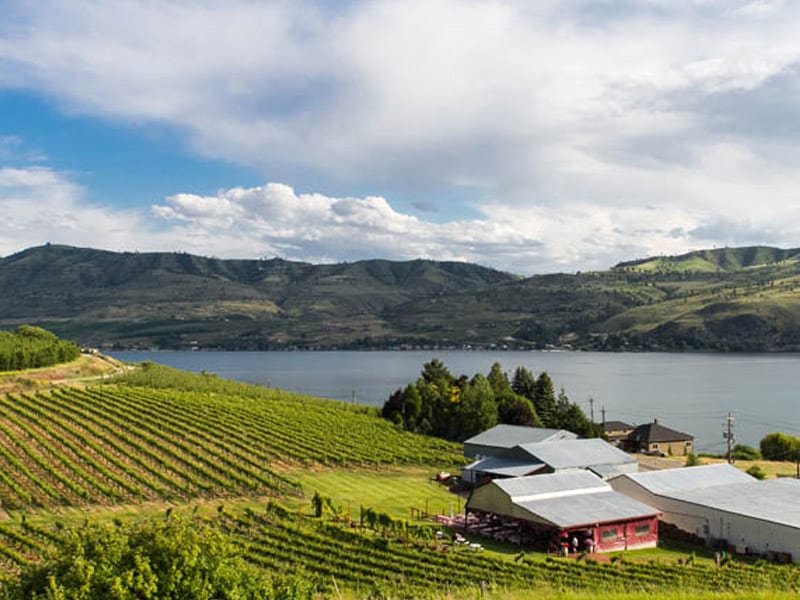 Lake Chelan Winery vineyard and lake view