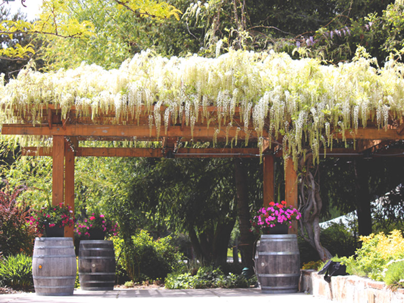 Wapato Point Winery wooden terrace covered in flowers
