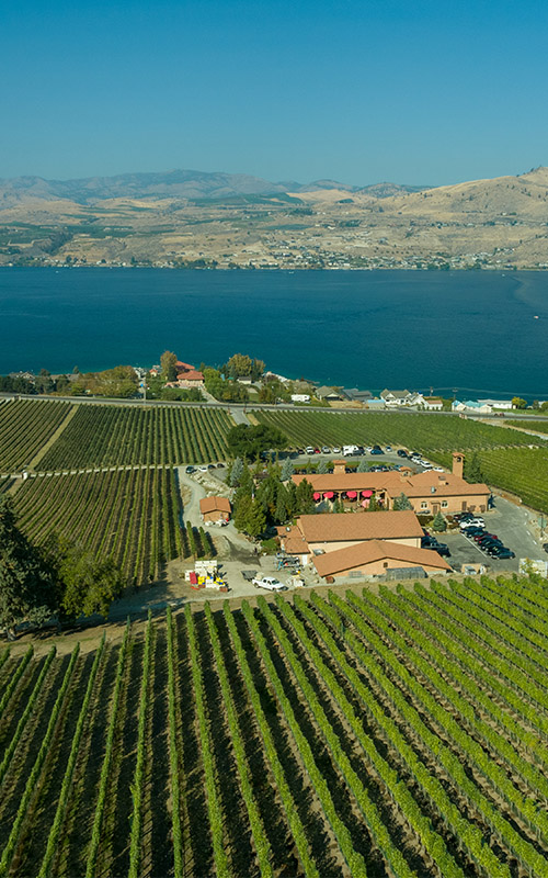 Aerial view above vineyard and lake