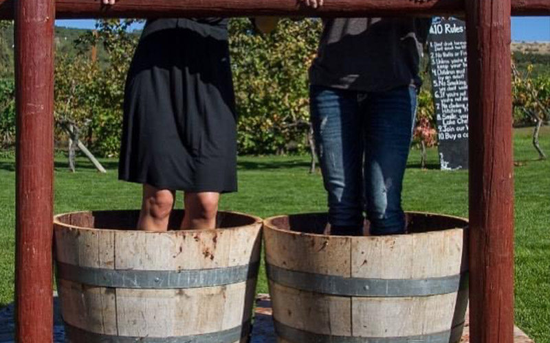 people standing in wine barrels