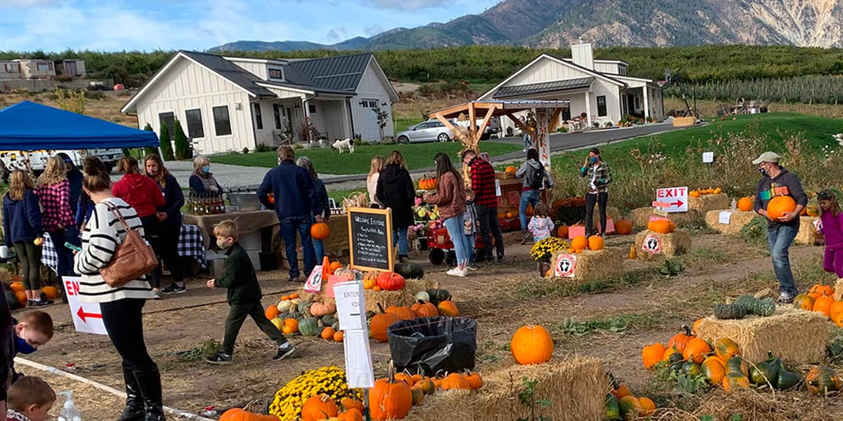 4th Annual Pumpkin Patch at Chelan Valley Farms