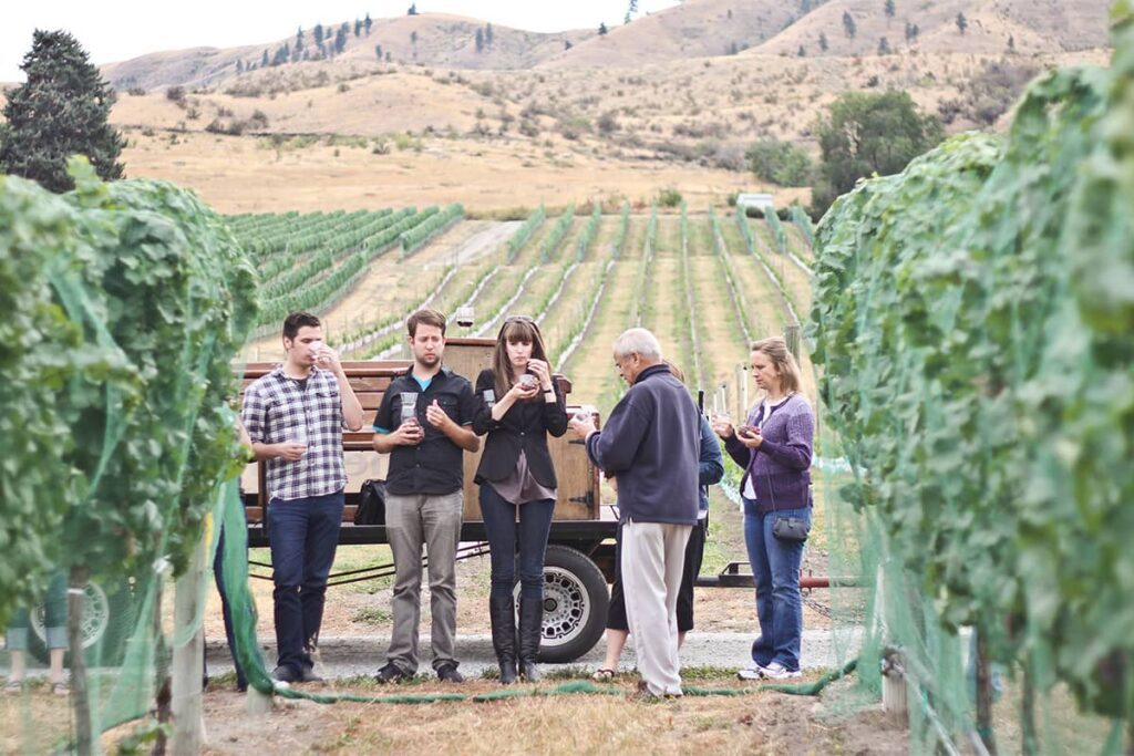 People enjoying wine during a vineyard tour