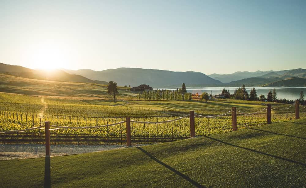 Beautiful sunset view from a vineyard in the Lake Chelan Wine Valley
