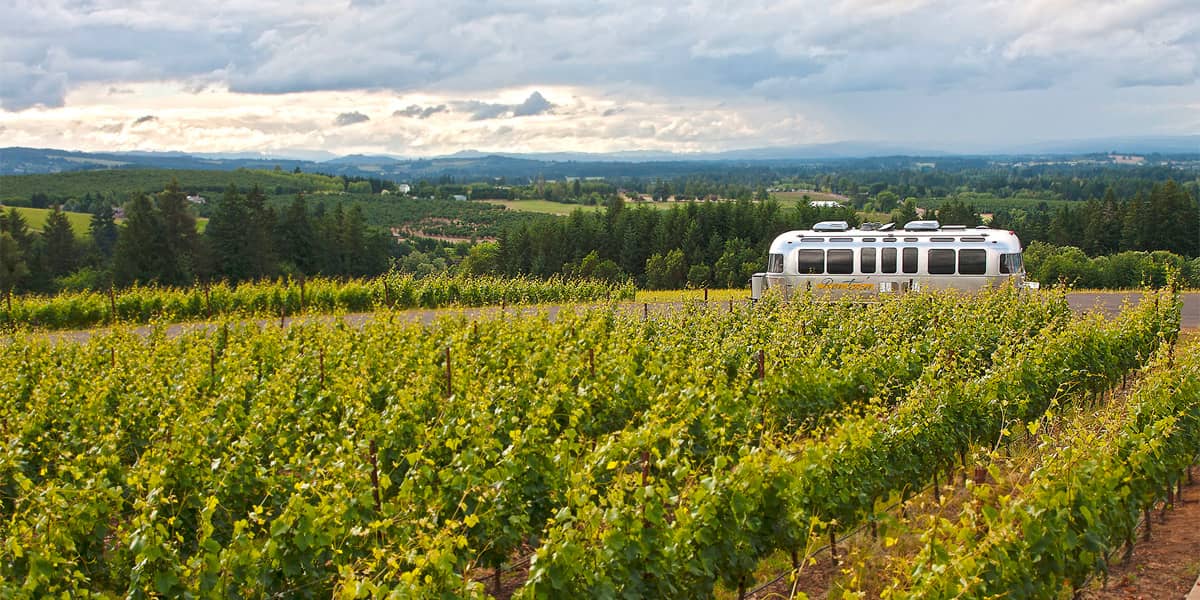 Estate Vineyard Tour and Tasting Experience