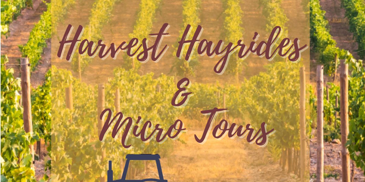 Micro Tours & Hayrides at Chelan Ridge Winery