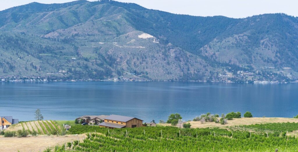 El Mochuelo Vineyards - Lake View