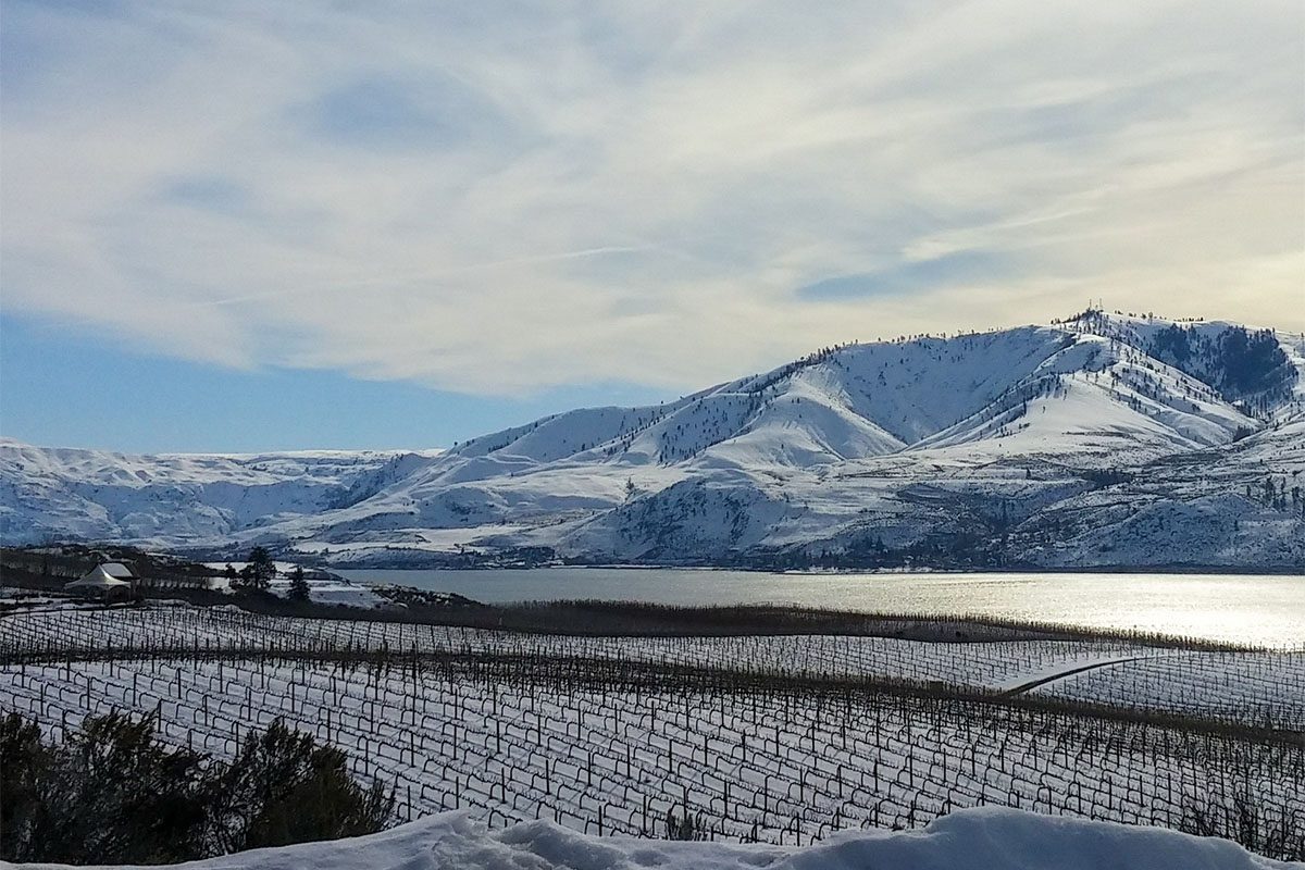 Winter Freeze in Lake Chelan: Impact & 2024 Harvest Outlook