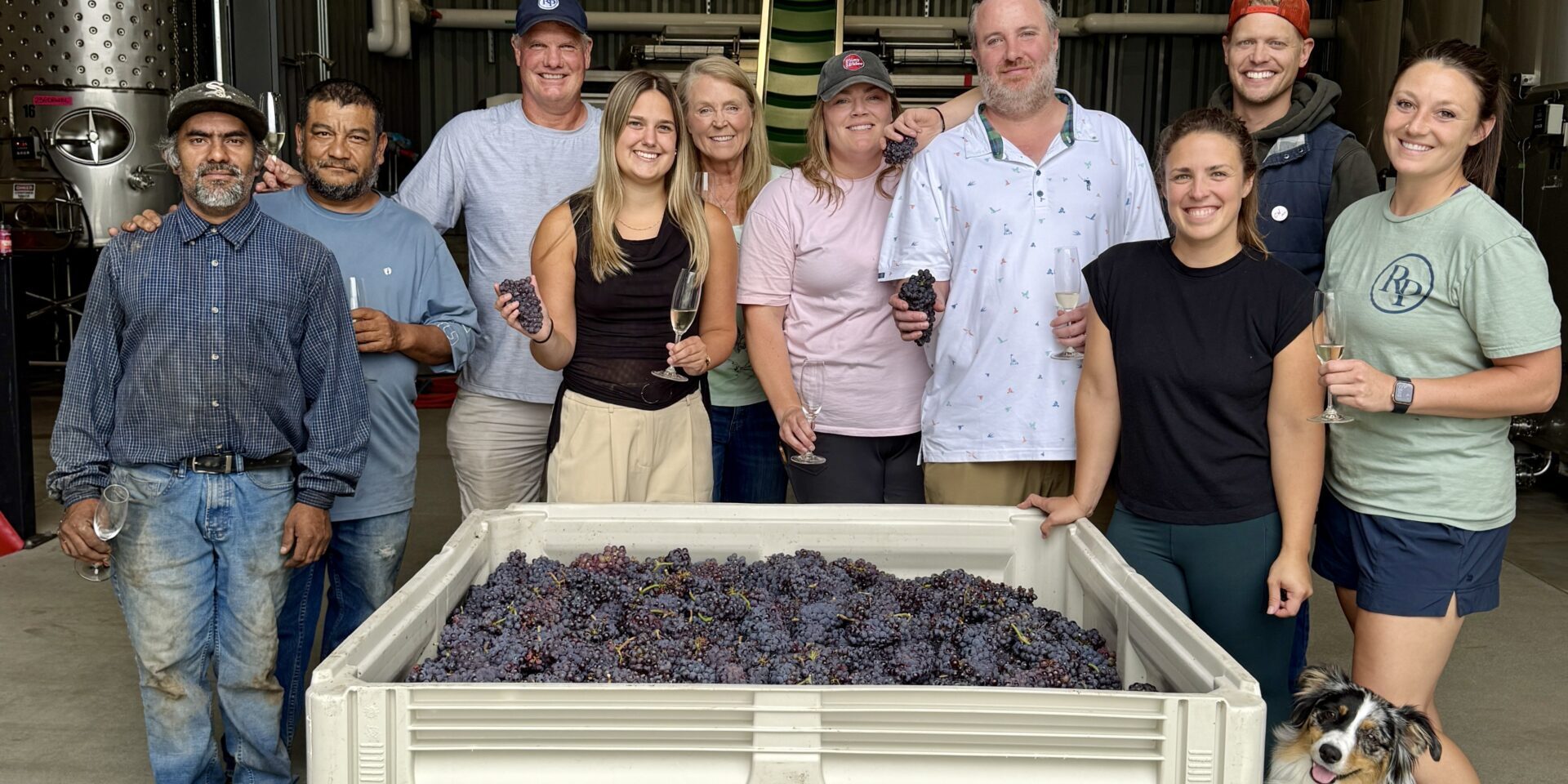 Harvest 25