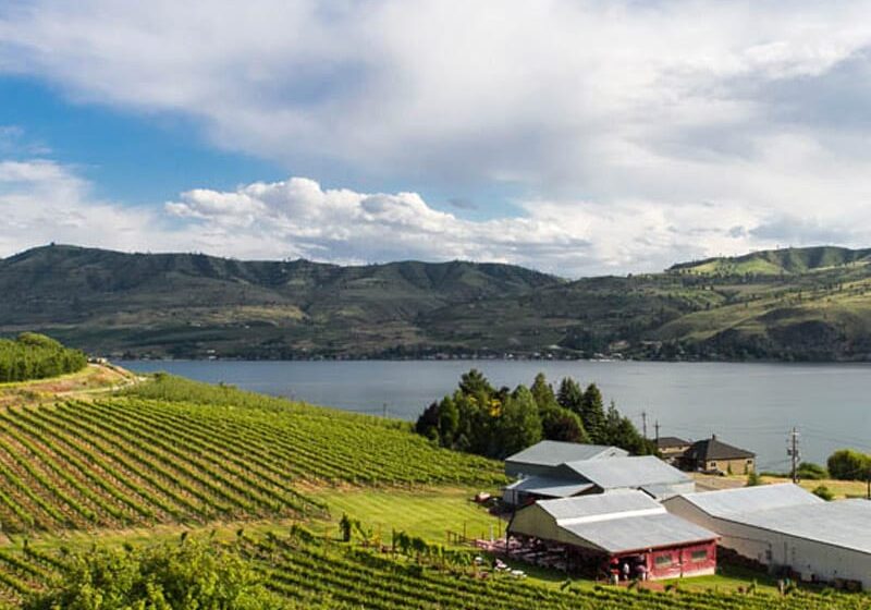 Lake Chelan Winery vineyard and lake view